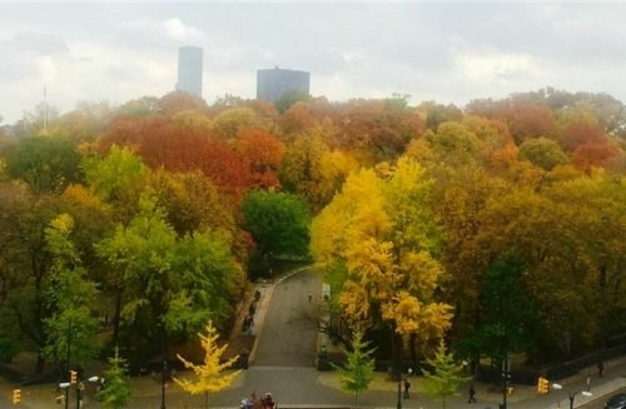 Central Park View B&B New York Exterior photo
